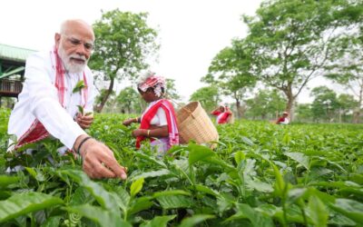Prime Minister Narendra Modi Interacts with Tea Garden Workers in Assam Ahead of Election Rally